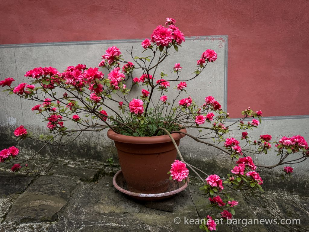 Barga Daily Image 24th April 2024