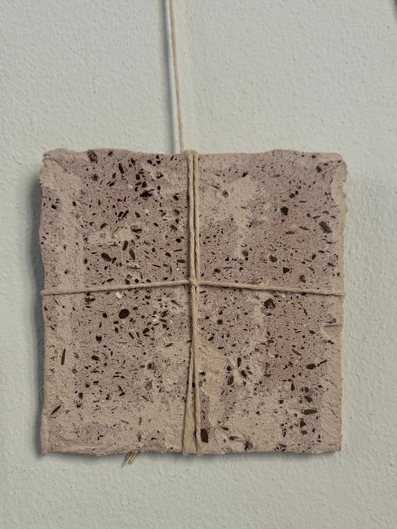 440429785_7805555549508393_5903715082667645098_n