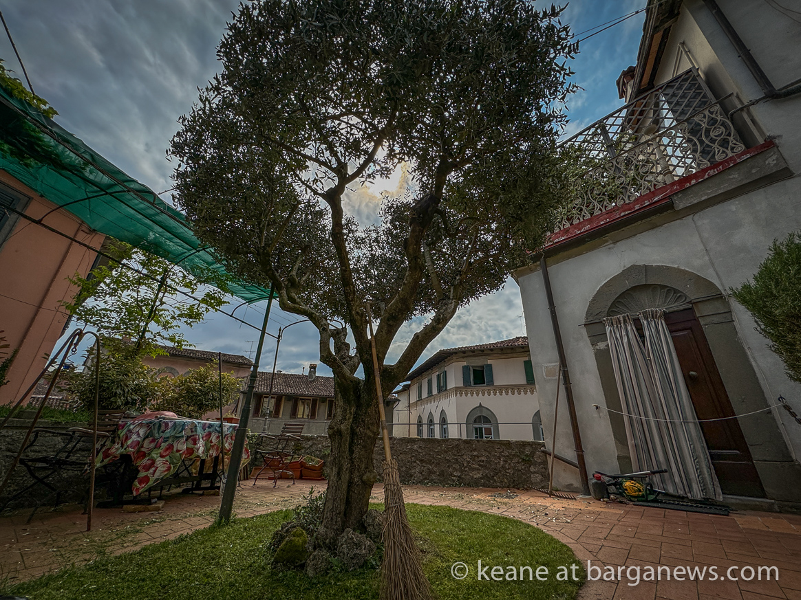 images from barga -21698