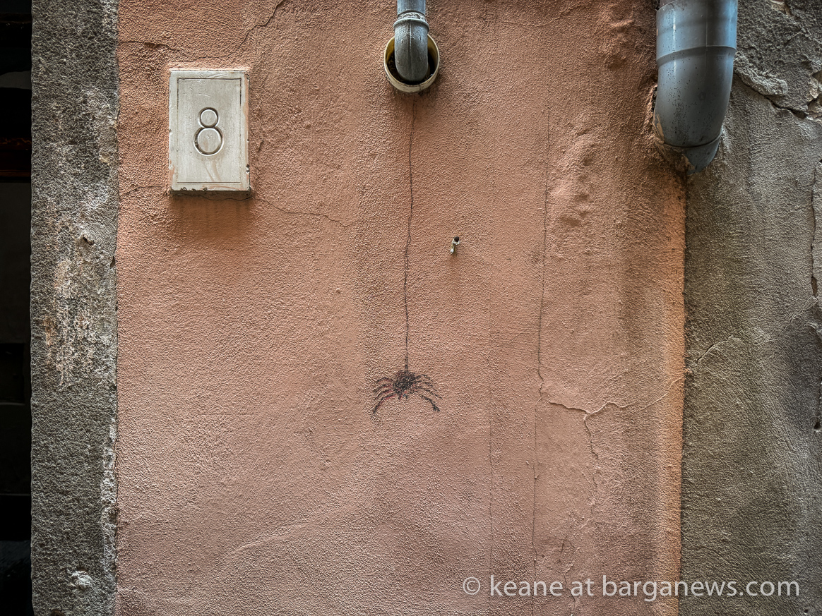 Barga Daily Image 24th May 2024