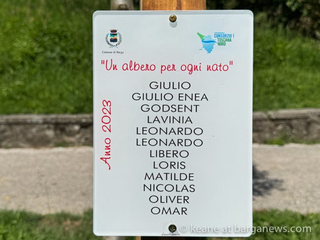 images from barga -22198