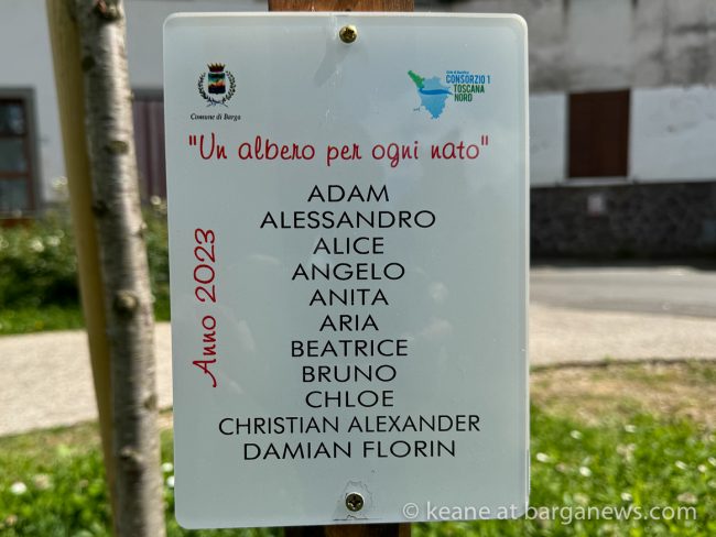 images from barga -22201