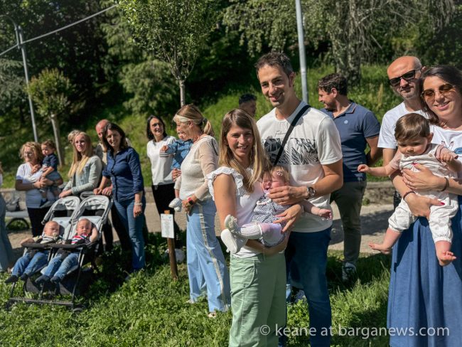 images from barga -22247