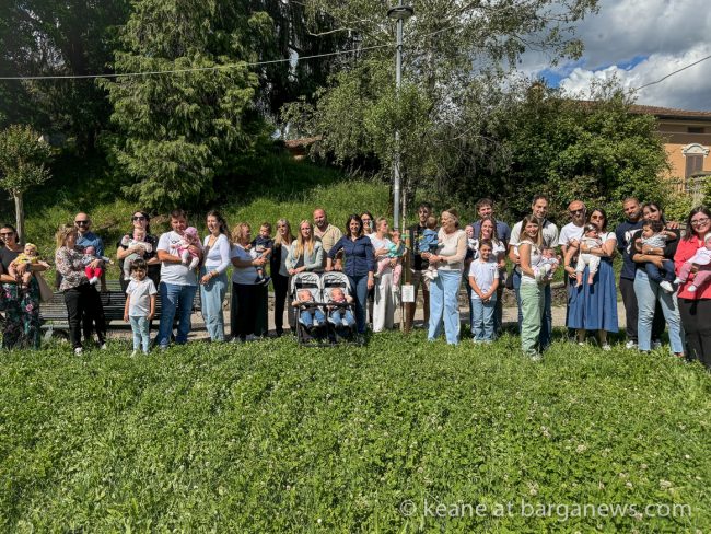 images from barga -22249