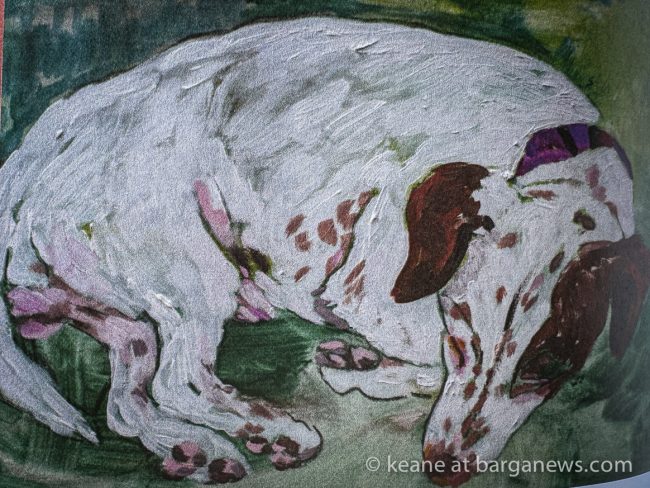 images from barga -22529