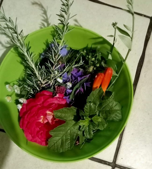 images-from-barga-20-650×720