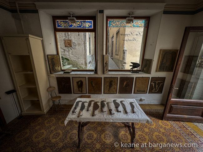 images from barga -23068