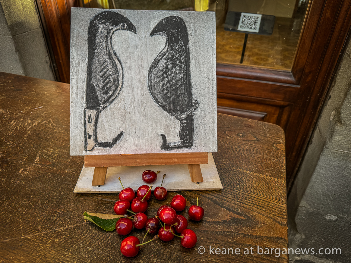 Barga Daily Image 13thJune 2024