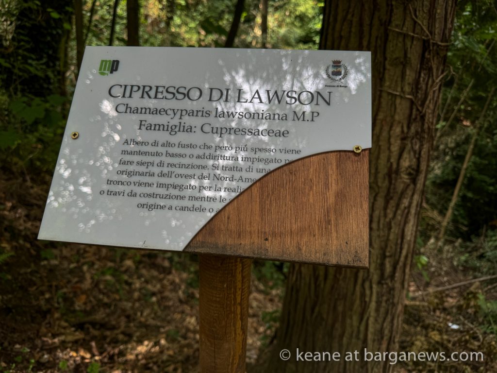 Vandals in Parco Buozzi