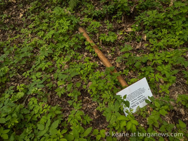 images from barga -23204