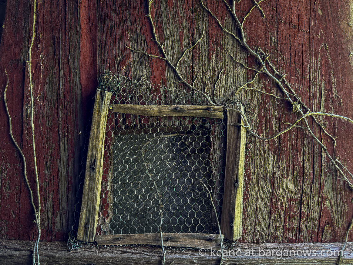 images from barga -23697