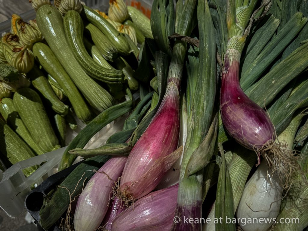 Barga Daily Image 30th June 2024