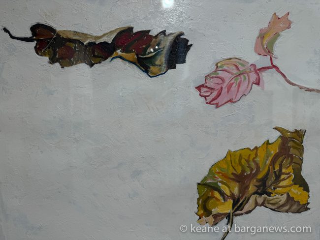 images from barga -24197