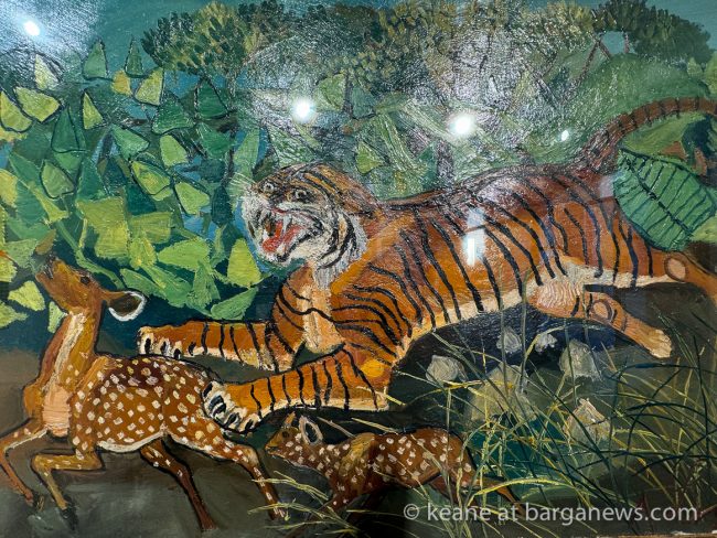 images from barga -24202