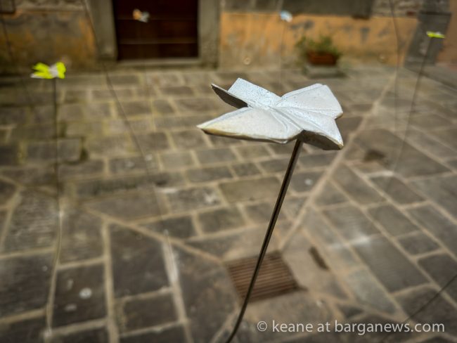 images from barga -25728