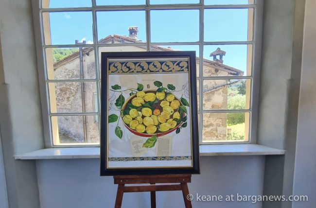 images from barga -50