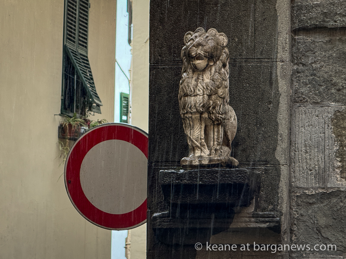images from barga -24264