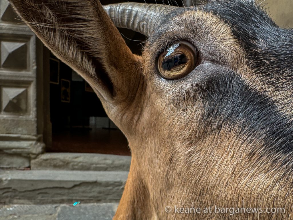 Barga Daily Image 8th July 2024