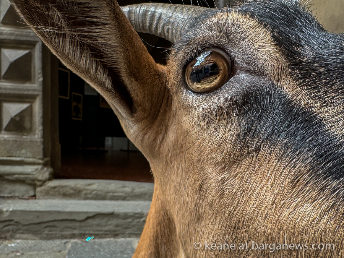 images from barga -24581