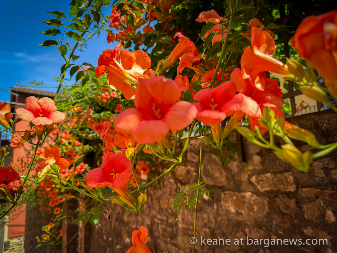 images from barga -25313