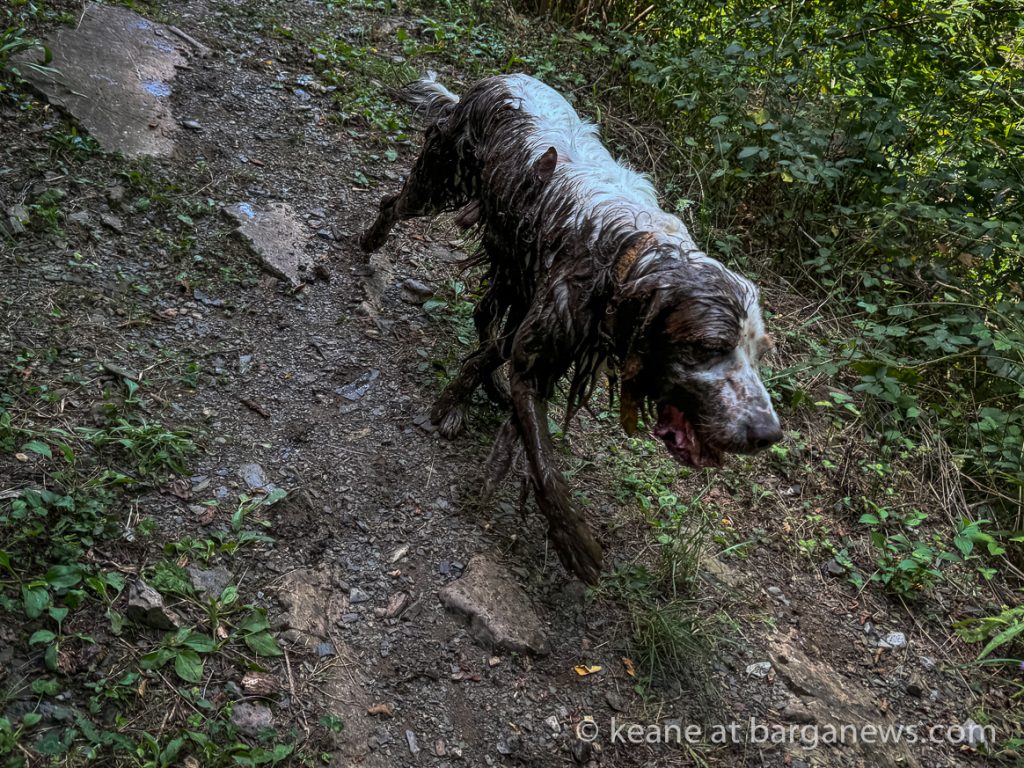 Barga Daily Image 12th August 2024