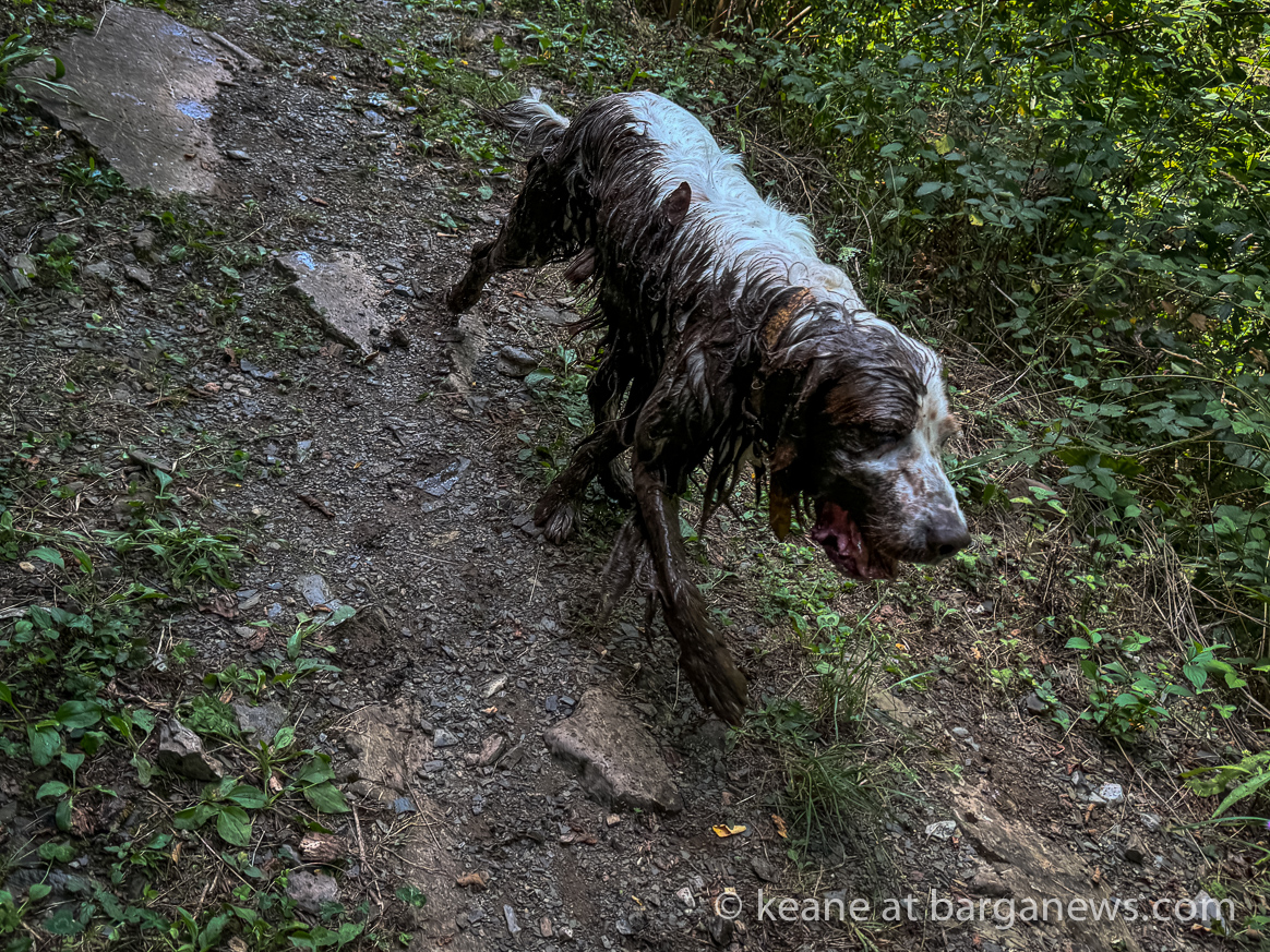 images from barga -27913