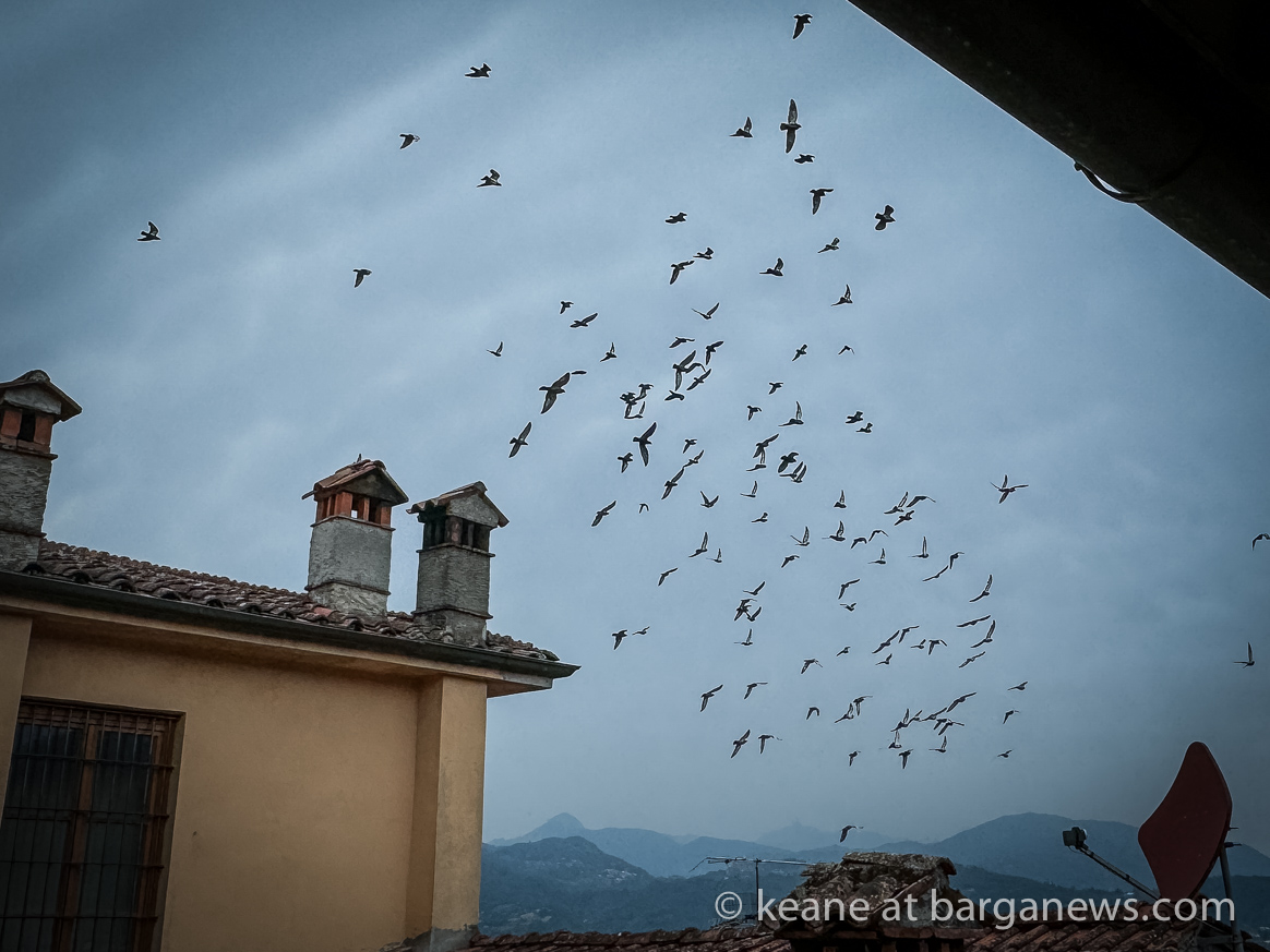images from barga -28351