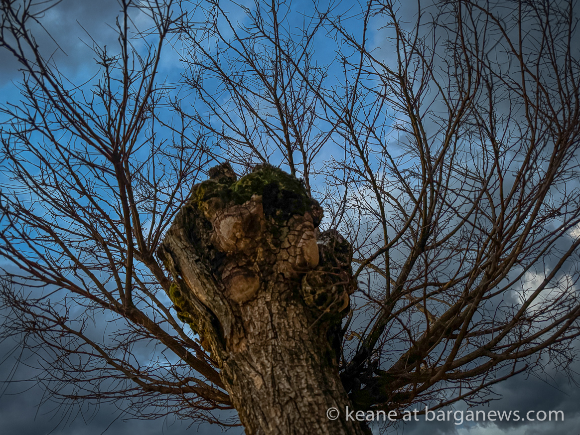 images from barga -30743