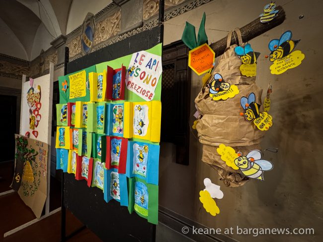 images from barga -31305