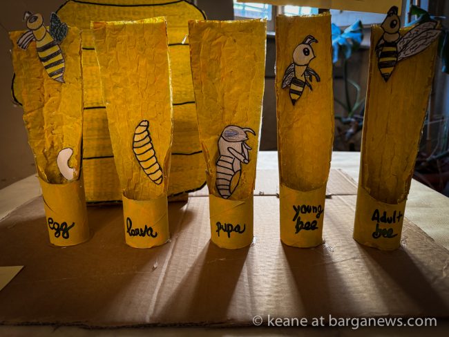 images from barga -31306