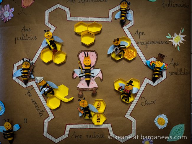 images from barga -31307