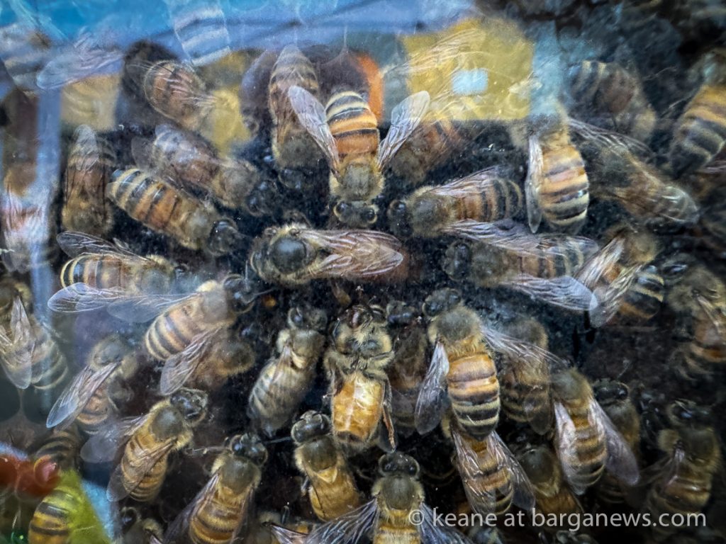 Barga – il castello delle Api