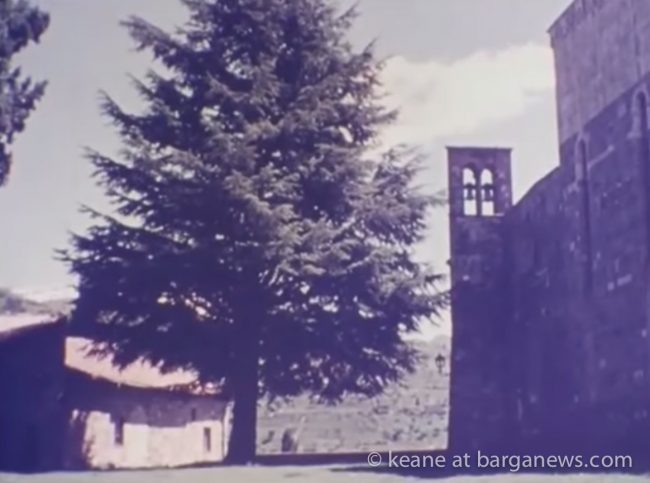 images from barga -00012