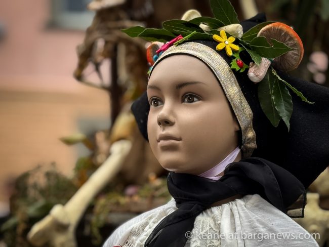 images from barga -31717