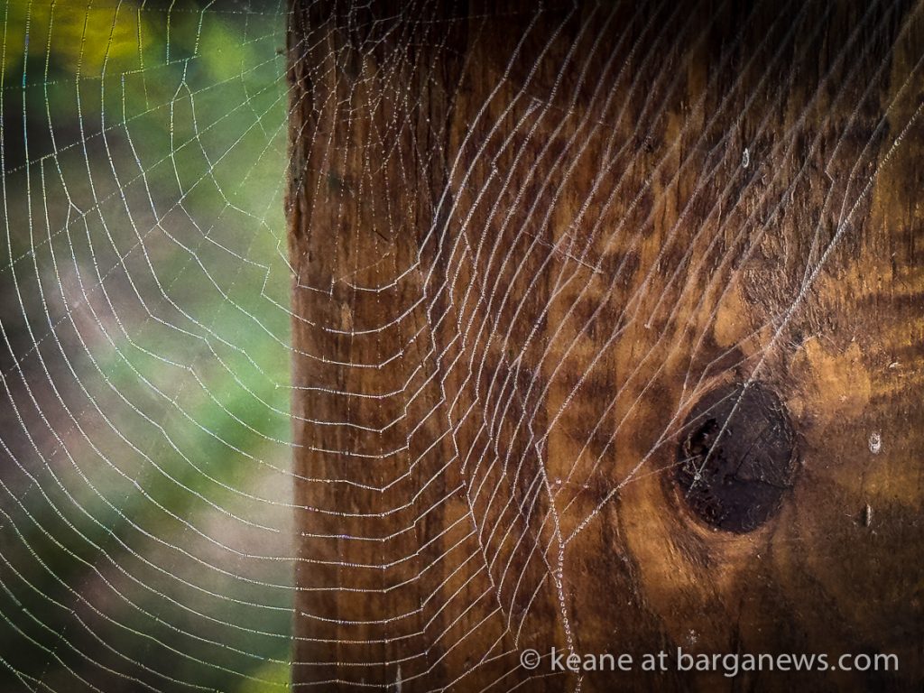 Barga Daily Image 16th October 2024