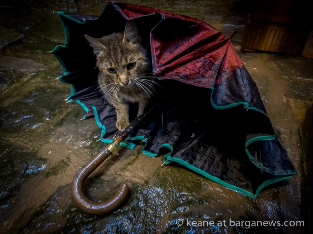 Barga Daily Image 20th October 2024