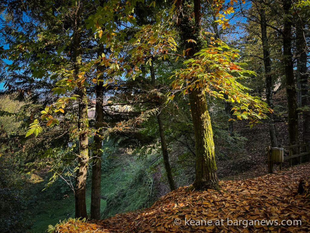 Barga Daily Image 3rd November 2024