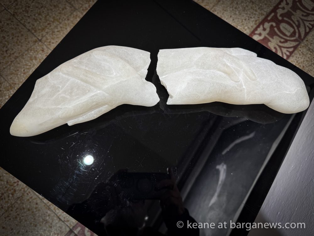 images from barga -33200