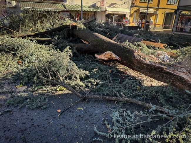 images from barga -33252