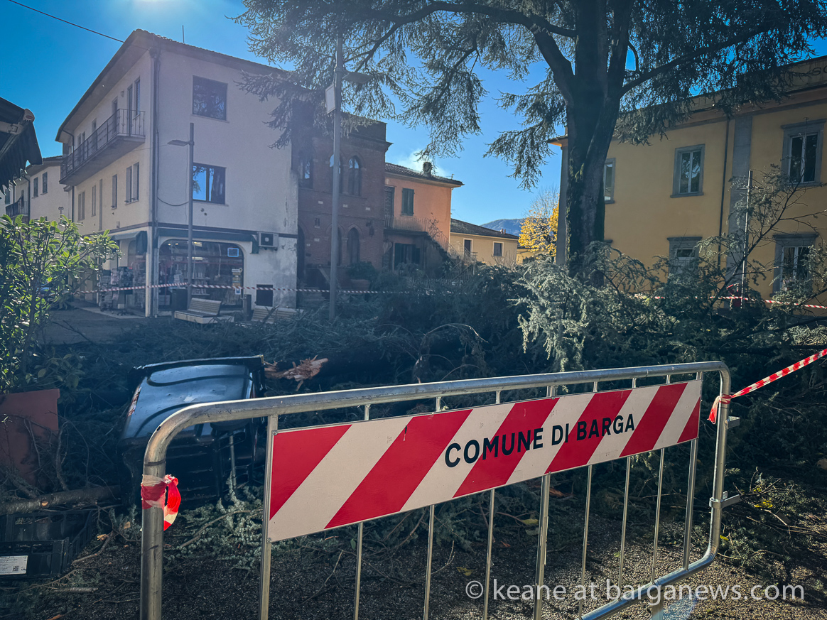 images from barga -33258
