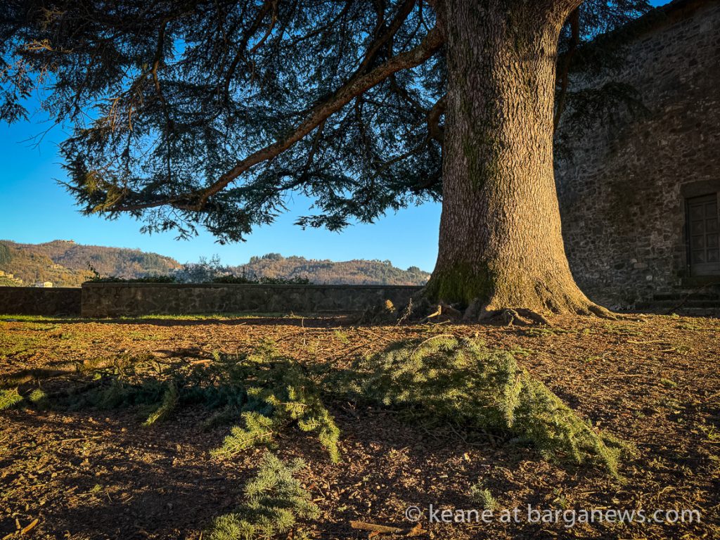 Barga Daily Image 4th December 2024