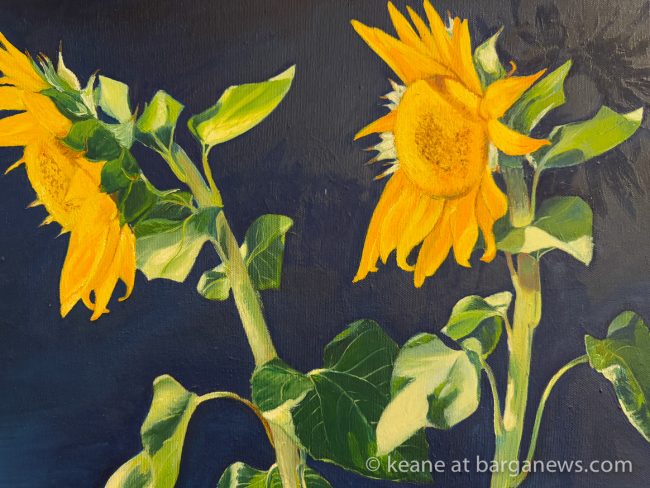 images from barga -34122