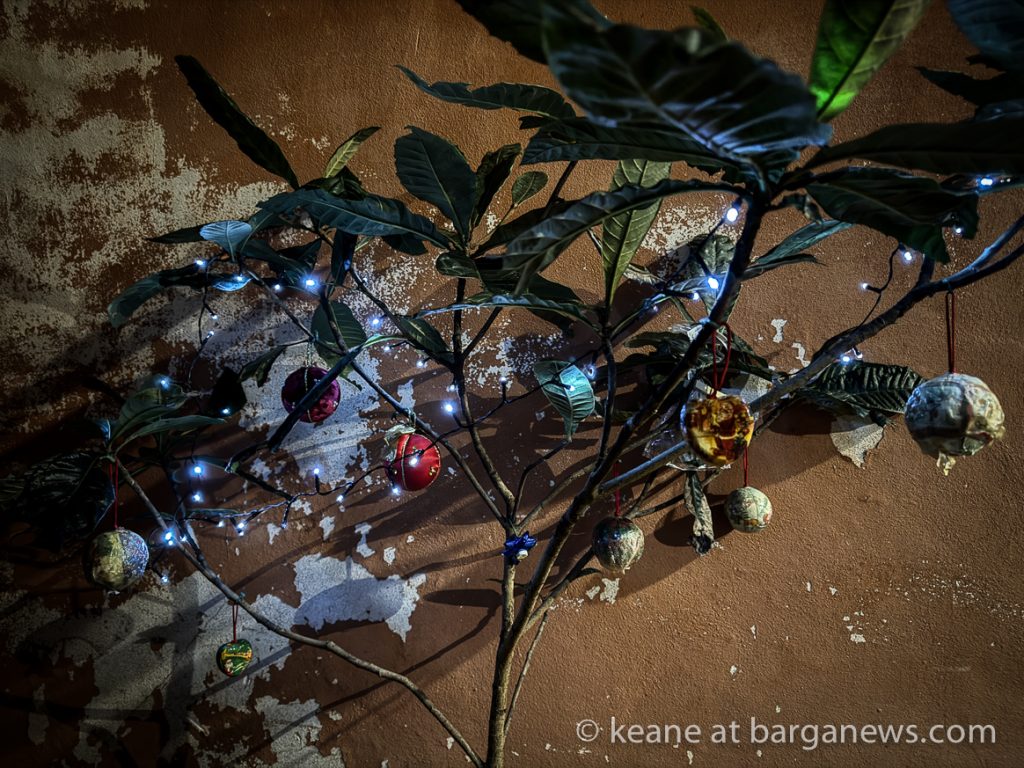 Barga Daily Image 17th December 2024