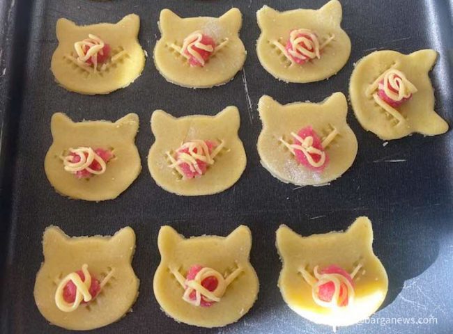 new images from barga -88