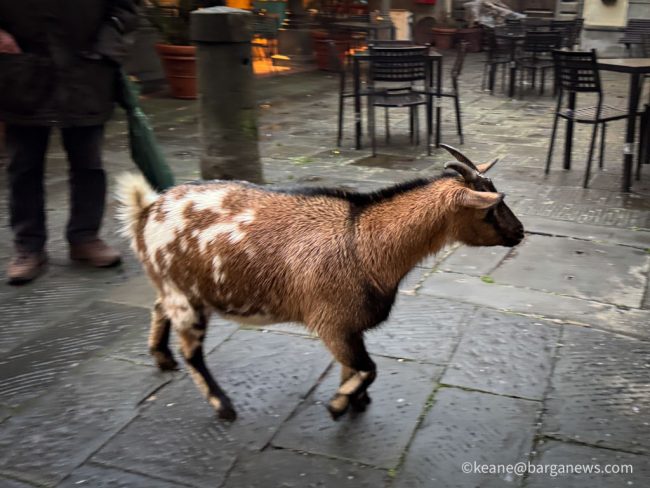 new images from barga -188