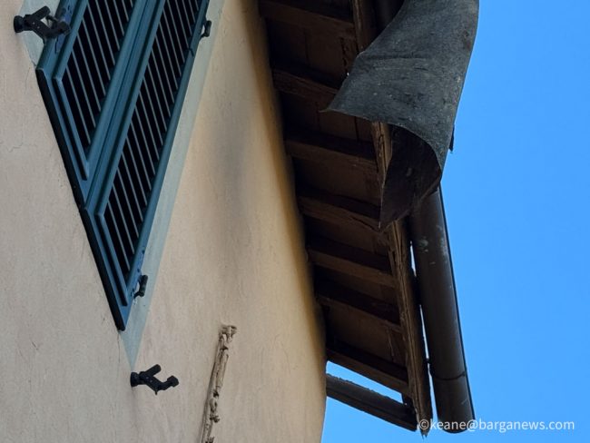 new images from barga -318