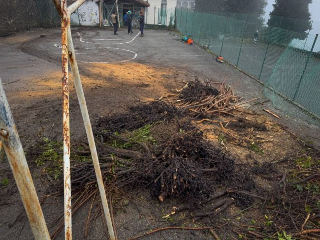 new images from barga -495