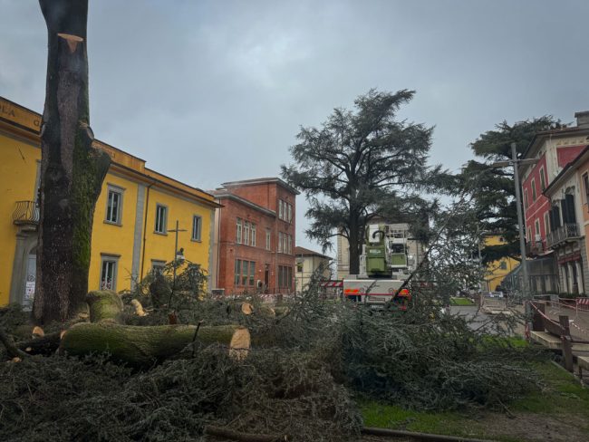 new images from barga -589