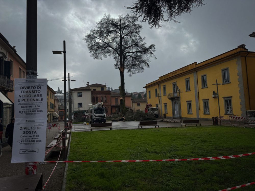 new images from barga -592