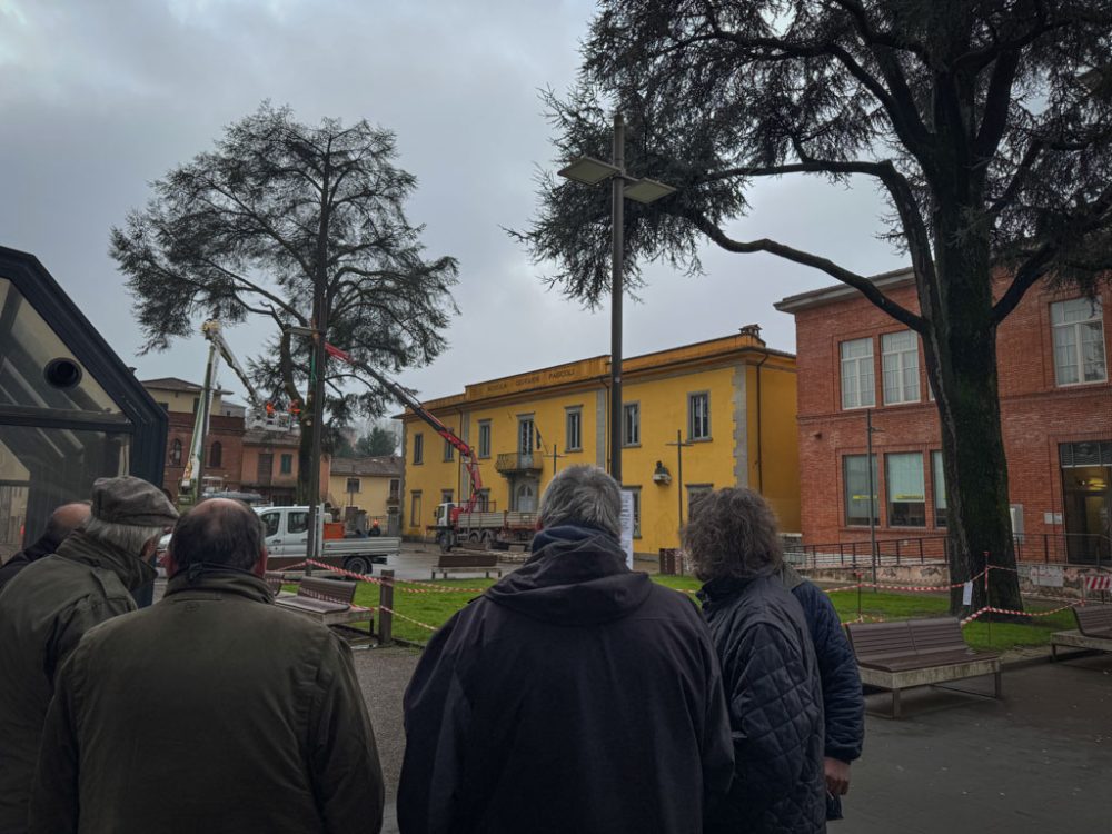 new images from barga -595